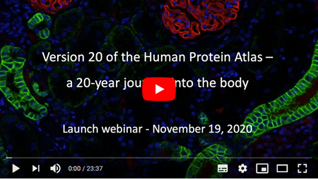 HPA - Webinar