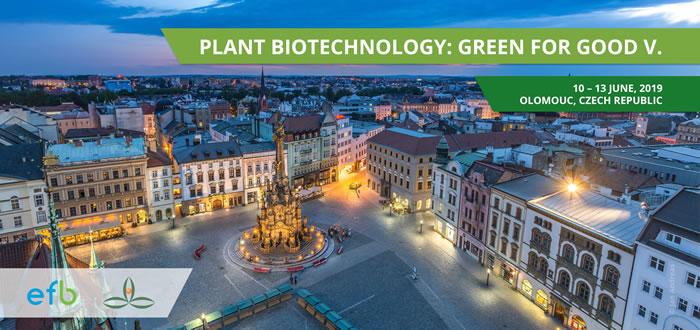 Green for Good G4GV- Promotional Banner