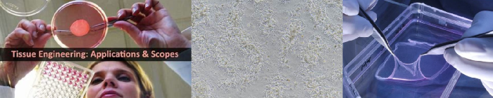 SciLife Lab - Follow covid 19 Banner