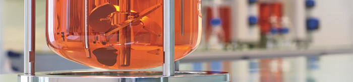 Eppendorf - Production of Human Induced Pluripotent Stem Cell-Derived Cortical Neurospheres in the DASbox® Mini Bioreactor System - Banner