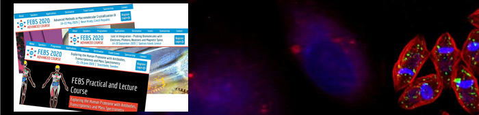 FEBS banner