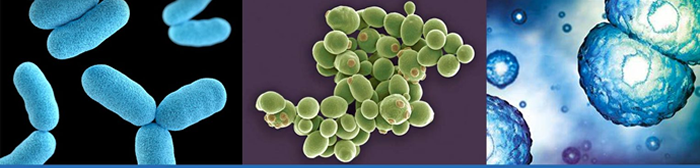 SciLife Lab - Follow covid 19 Banner