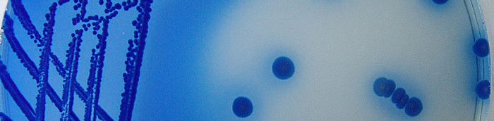 5th Applied Synthetic Biology in Europe - Banner