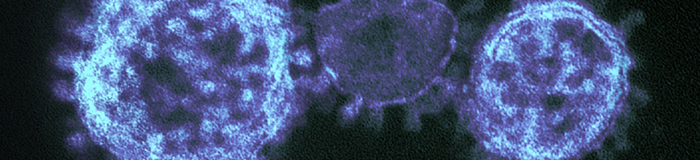 Microbiology Society - Fee-free Open Access - banner