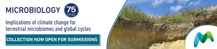 Policy Lates: Why protect ocean biodiversity?