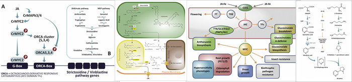 New Biotechnology -  - Banner