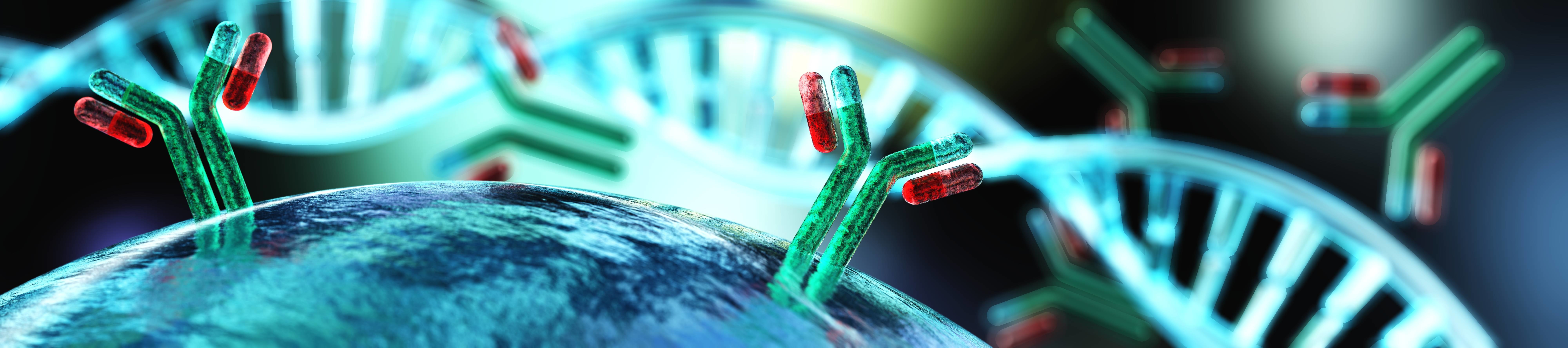 Antibody-cytokine fusion proteins: A novel class of biopharmaceuticals for the therapy of cancer and of chronic inflammation