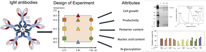 New Biotechnology - Impact of temperature and pH on recombinant human IgM - Banner