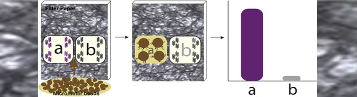 New Biotechnology - Rapid DNA detection using filter paper