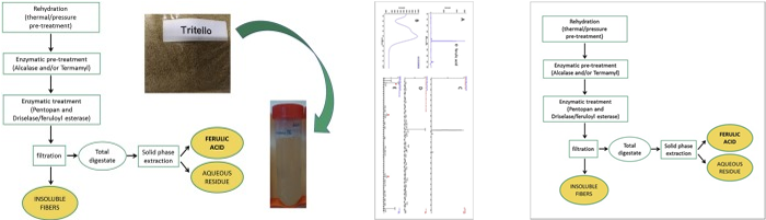 Standardization of the preanalytical phase of DNA extraction from fixed tissue for next-generation sequencing analyses - New Biotechnology Banner