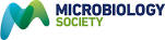 Microbiology Society - logo