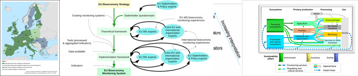 New Biotechnology - Bioeconomy development factors in the European Union and Poland