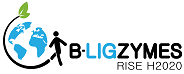 B-LigZymes -biotech  logo