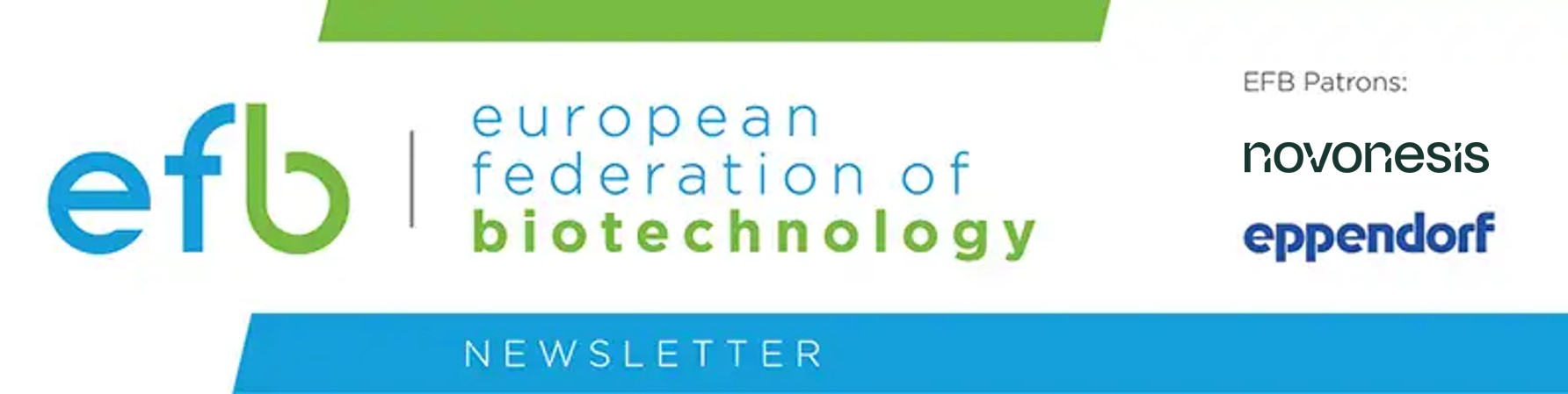 EFB Newsletter Banner