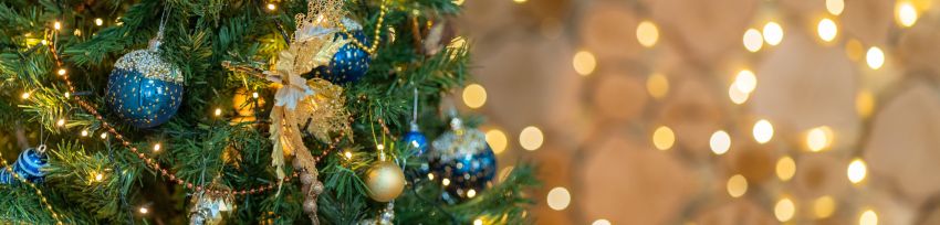 Christmas banner 2024