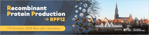 RPP12 2025
