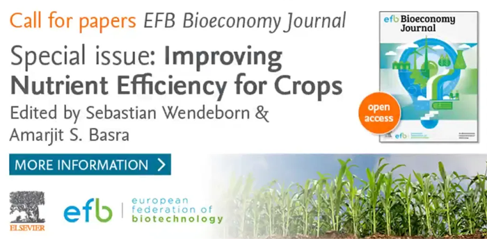 EFB Bioeconomy Journal Special Issue - Banner