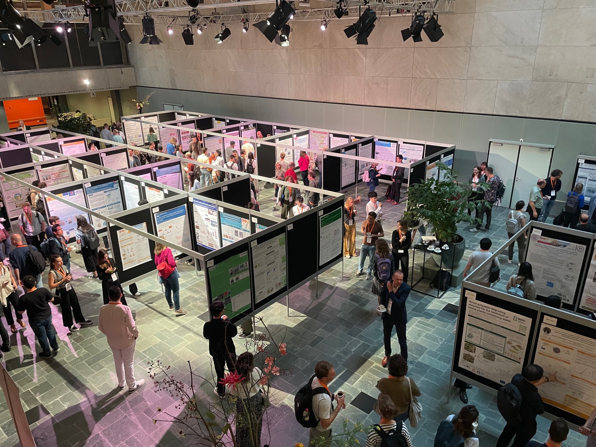 Researchers viewing scientific posters at European Congress on Biotechnology networking session