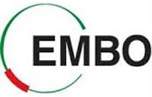 EMBO - logo